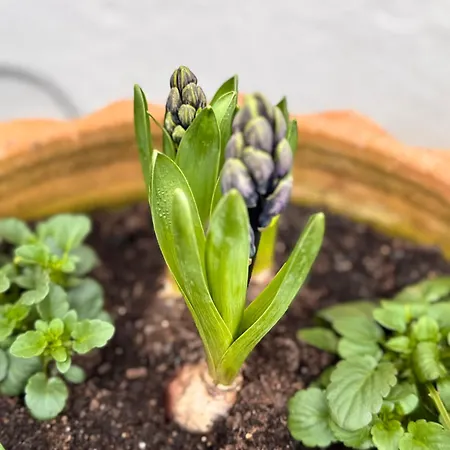 Alte Wassermuehle Holiday home Heimbach