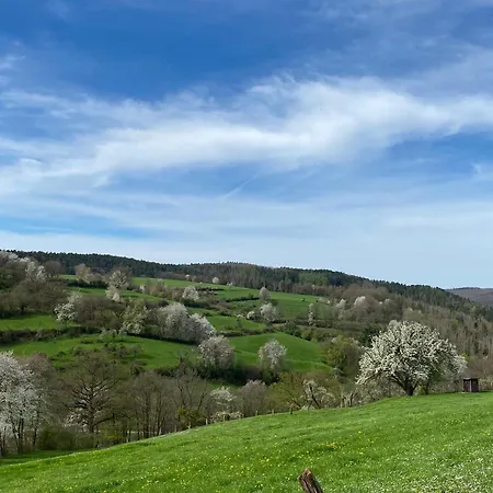 Dom wakacyjny Alte Wassermuehle Heimbach