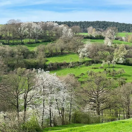 Dom wakacyjny Alte Wassermuehle