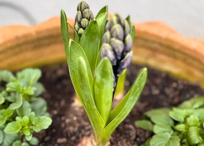 Alte Wassermuehle Hébergement de vacances Heimbach