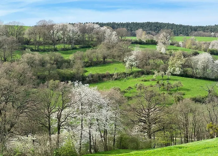 Hébergement de vacances Alte Wassermuehle