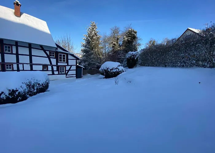 Dom wakacyjny Alte Wassermuehle *